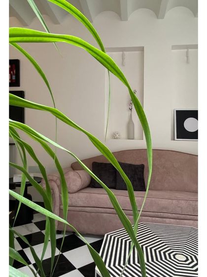 The Blueprint: Process & Publications photo 7