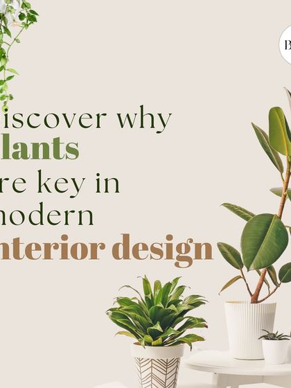 Design Guides & Inspiration photo 31