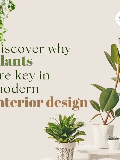 Discover why plants are a key element in modern interior design. They add life, color, and a sense of tranquility to any space.