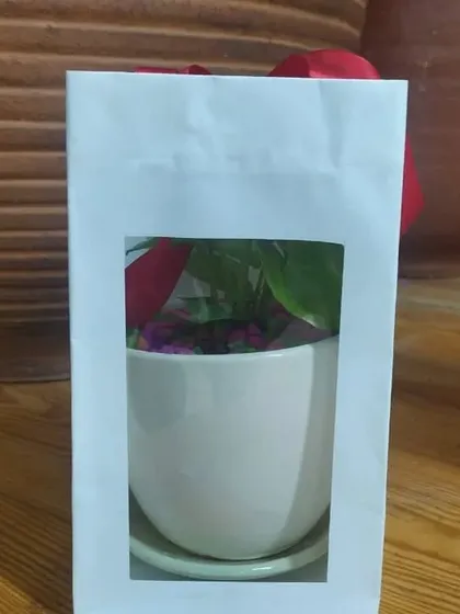 A view of a packaged plant gift, showing how the window frames the plant, creating an inviting presentation.