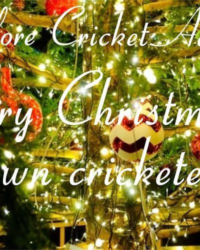 Community Cricket Events