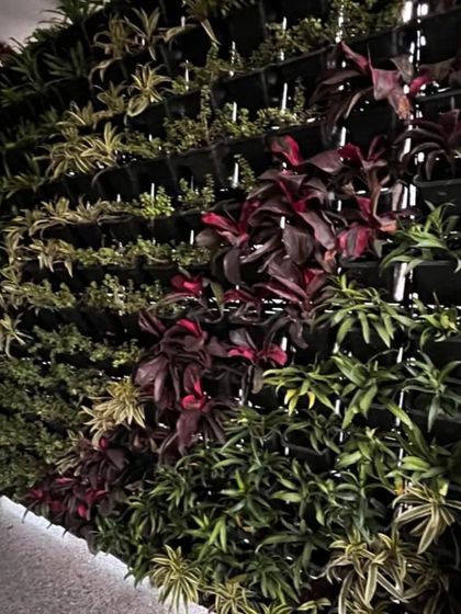 The KR Mangalam vertical garden seen at night. Integrated lighting at the base of the wall illuminates the plants, creating a dramatic and beautiful effect after dark.