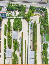 Landscape Architecture