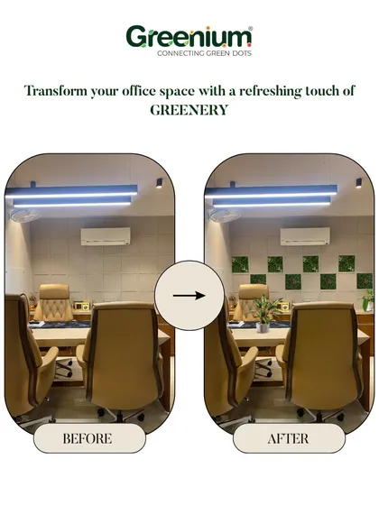 This before and after shows a simple yet effective office transformation. By adding small, square green wall panels, we introduced a refreshing touch of greenery that boosts productivity and reduces stress.