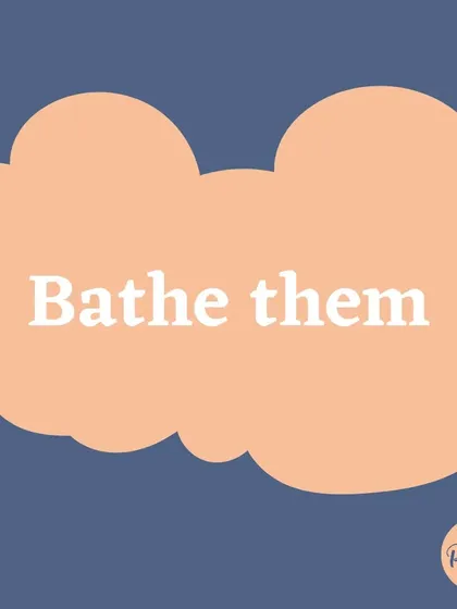 A calm bath on a rainy day can be a great way to practice being handled and to get clean after a muddy walk.