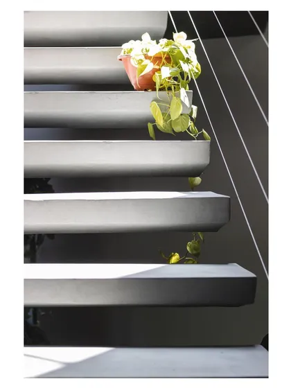 The play of light and shadow on the concrete steps highlights their clean lines and smooth finish.