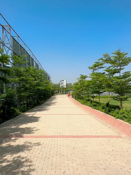 A wide, paved walkway at the Adani Gurugram site, lined with newly planted trees. This demonstrates how I incorporate hardscape elements like pathways to create functional and beautiful commercial landscapes.