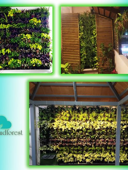 MyCloudforest - Vertical Gardens & Green Walls Indoor Sanctuaries & Custom Features photo 3