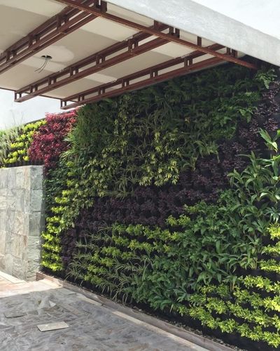 Vertical Garden Solutions