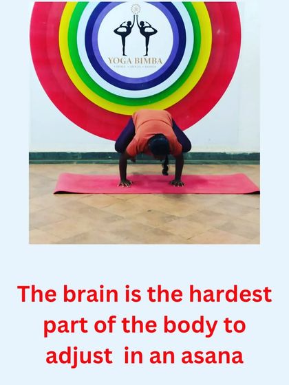 Yoga Bimba - Yoga Classes & Personal Training Yoga Philosophy in Practice photo 9