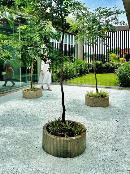 This office courtyard features a serene white gravel court with trees emerging from simple concrete planters. It's a space designed for harmony, finding a balance between the wildness of nature and the order of a tamed garden.