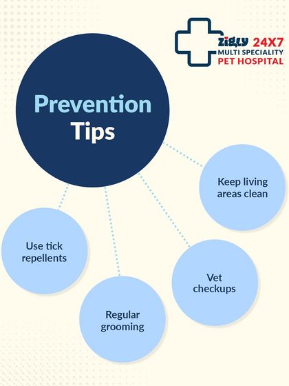 Zigly - Veterinary Services Preventive Care: A Lifetime of Health photo 14