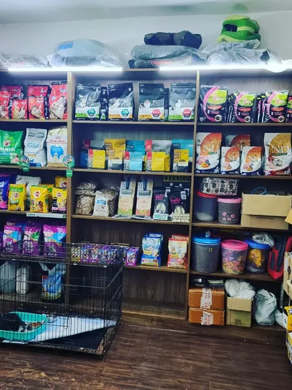 We stock our shelves with a wide variety of high-quality dog and cat food to meet any dietary need. You can find everything from premium kibble and wet food to specialized formulas and healthy pet treats from trusted brands.