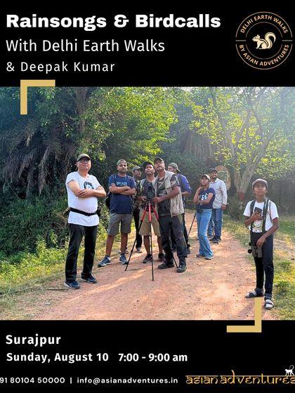 Moments From Our Walks photo 5