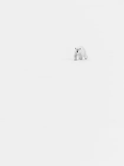 Duplicate of image 64.