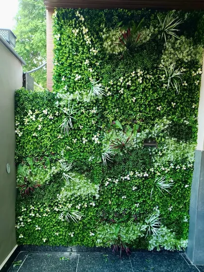 A lush and dense vertical garden in a residential outdoor space, featuring a mix of white flowers and varied green foliage.