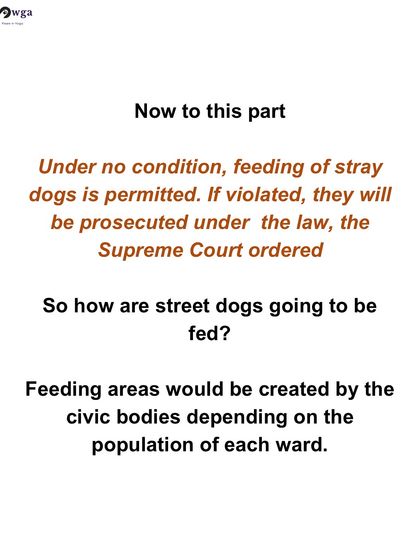 We analyze the complexities of court orders, like the one prohibiting the feeding of stray dogs and proposing designated feeding areas. How will this work in practice?