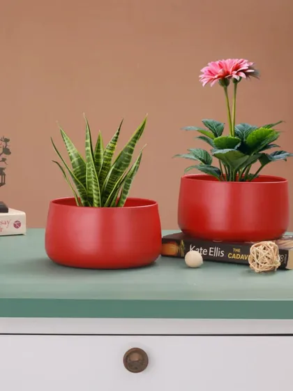 The right pot completes the look, and our red metal planters add a perfect pop of color. Here you can see how they look with a low-maintenance Snake Plant and a flowering Gerbera Daisy. They are versatile enough for any plant and any room.