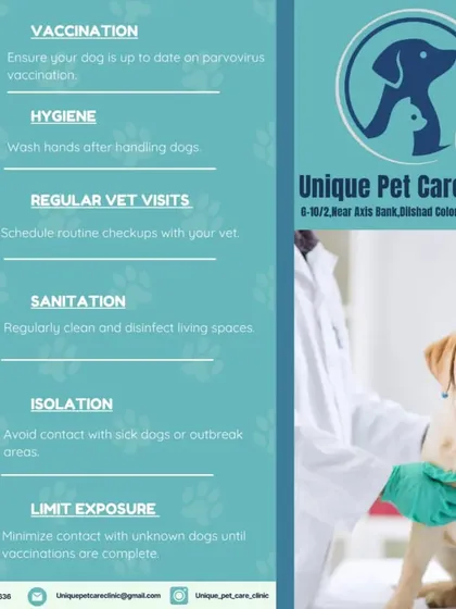 This is a look at the preventative care I believe in, from essential dog vaccinations to regular vet visits. I bring these services to your home, ensuring your best friend gets the care they need in a familiar, stress-free environment.