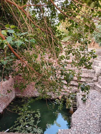 The ancient stepwell, or baoli, at Bara Hindu Rao, seen through the leaves. We uncover these hidden water structures that were once vital to the city.