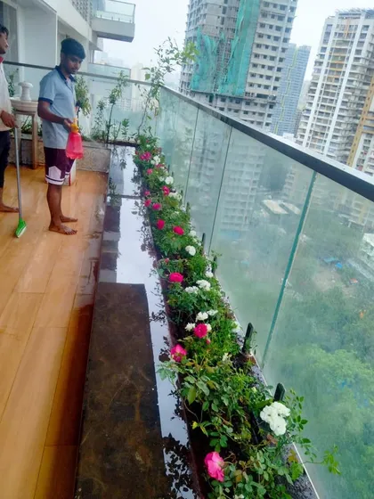 Our team completing the final touches on a balcony rose garden. We ensure proper soil mix and planting depth, which are crucial for the long-term health and bloom of the flowers in a planter setup.