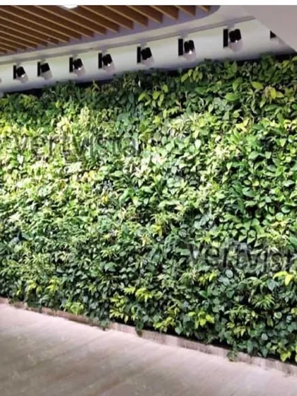 A living wall gives your brand a green facelift and demonstrates a commitment to sustainability. This installation in a corporate lobby infuses the space with vibrant greenery, creating a positive and lasting impression.