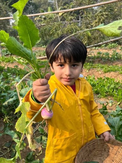 Farmus - Farm Day Out Experience The Joy of the Harvest photo 18