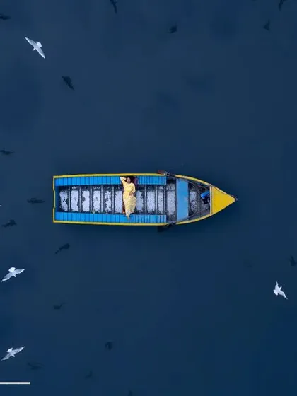 A moment of peace on the Yamuna ghat. This top-down drone shot captures a lone boat surrounded by a flock of Siberian birds, creating a beautiful, artistic pattern on the water.