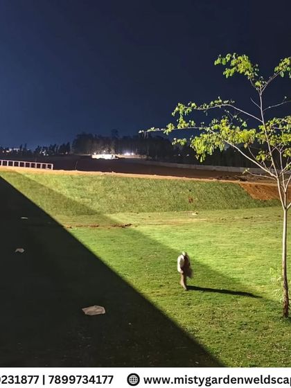 A nighttime view of the newly installed lawn under spotlights. The gentle slope and solitary tree create a serene and picturesque landscape.