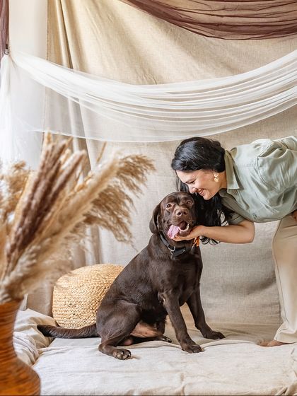 A playful moment during a home studio shoot. Tofu the chocolate Labrador gets some love and squishy-faced affection from his mom.