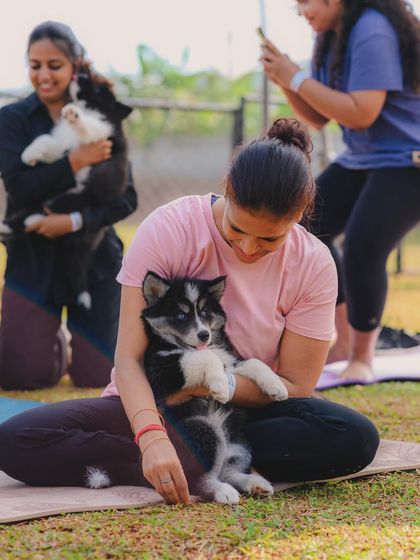 The Pawsome Camp - Dog Party & Event Hosting Special Events & Workshops photo 30