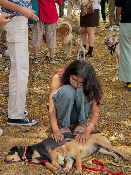 A quiet moment of care amidst the excitement of an adoption drive. Here, a volunteer comforts two rescued puppies as they rest. It takes a community of kind hearts to do this work, and every person who fosters, volunteers, or donates is a hero.
