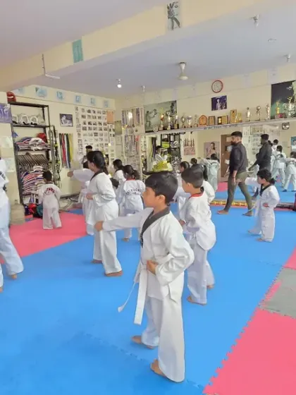 A class of white belts learning their first Poomsae.