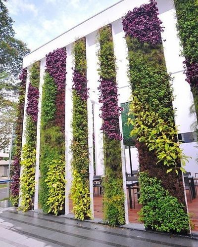 Vertical Gardens