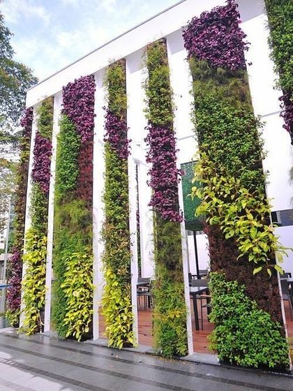 Vertical Garden Setup - Landscape Design & Execution Large-Scale & Commercial Facades photo 6