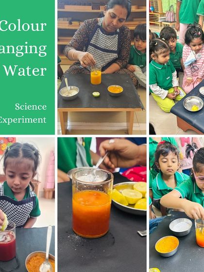 Dots Montessori - Montessori Preschool & Daycare Exploring Our World: Science, Nature & Geography photo 7