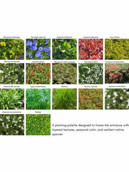 A planting palette is designed to be both beautiful and resilient. For the Phoenix Park entrance, I selected a mix of native and adaptive species to create a layered, textured, and colorful landscape that frames the gateway.
