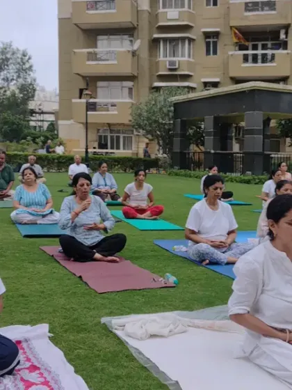 Participants peacefully meditating in the park. Practicing outdoors allows for a deeper connection with nature and the present moment.