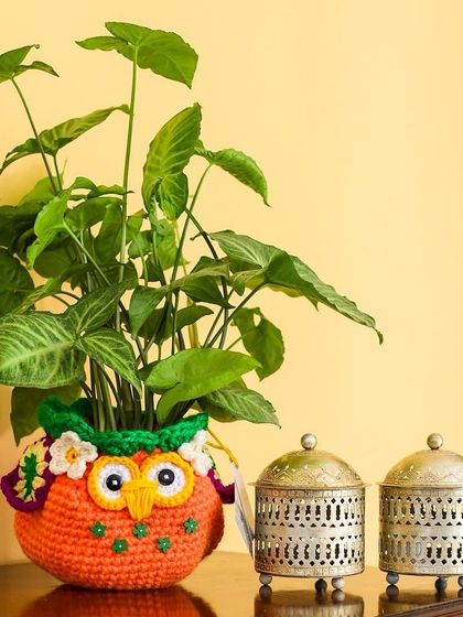 Cozy Storage Baskets photo 20