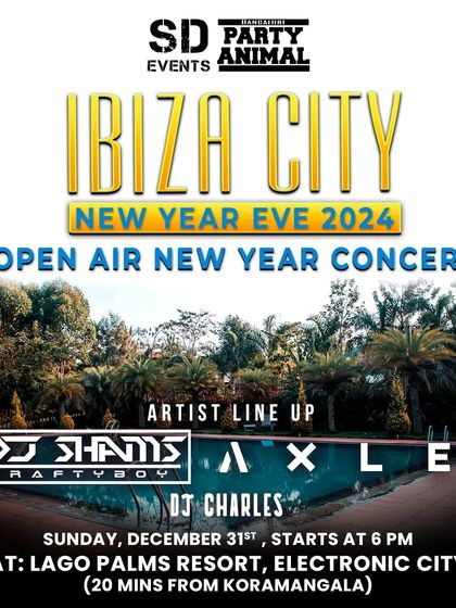 DJ Charles - Live DJ for Events Festival & Holiday Parties photo 4