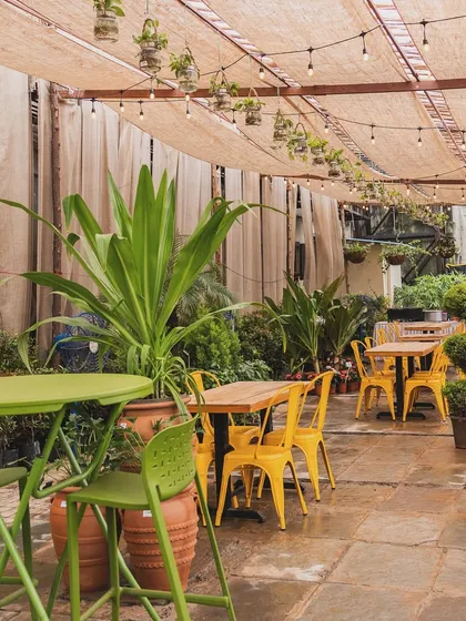 Find your perfect spot to unwind. Our outdoor seating area lets you enjoy some chai and conversation surrounded by greenery, offering a much-needed break from your daily routine.