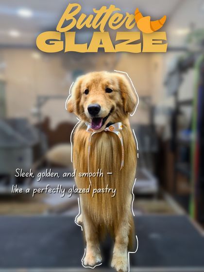 Therpup - Pet Grooming Salon Fresh Looks & Happy Pups photo 3