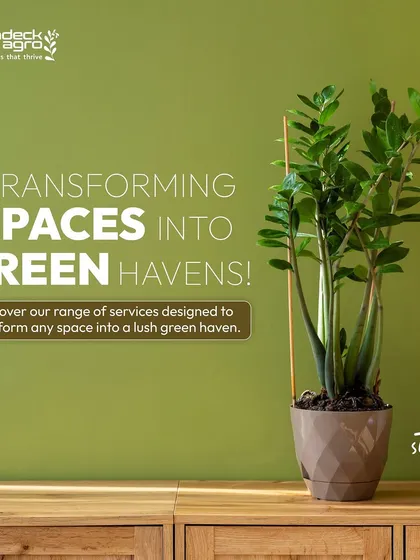 We are dedicated to transforming spaces into green havens. This is an introduction to our range of services designed to create lush environments.
