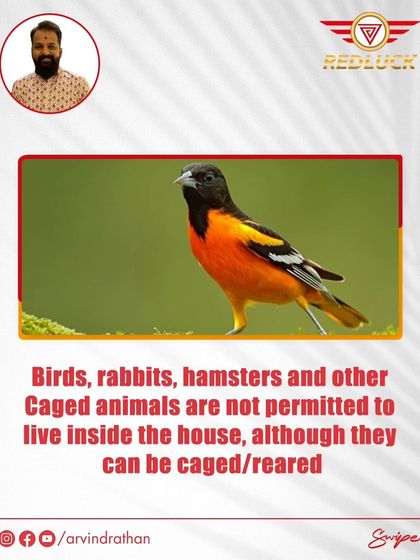 Arvind Rathan - Vastu Shastra Consultation Vastu for Health, Relationships & Well-being photo 6