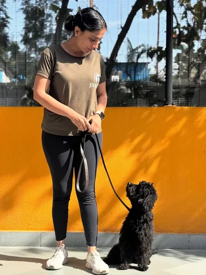 The connection between a trainer and a dog is built on focus and trust. Here, Kai, a spirited pup, is learning to tune out distractions and engage with me. This focus is the first step towards mastering leash manners and overcoming reactivity.