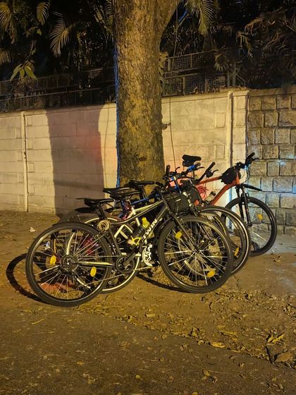 A stack of five bikes leaning against a tree in Defence Colony. The more bikes, the merrier the ride.