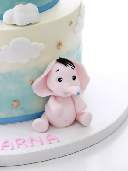 Baby Showers & First Milestones photo 30