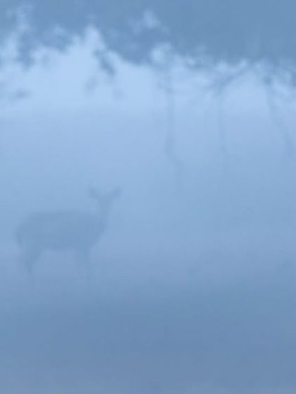 Creative Photography: The Painter's Eye photo 6