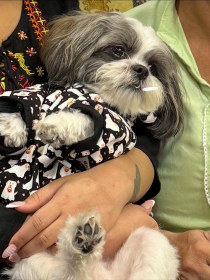 In-Cabin Comfort: For Our Smallest Travelers photo 4