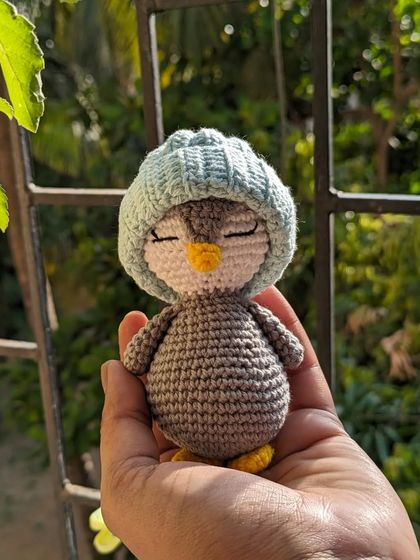 A sleepy penguin wearing a little blue hat, photographed in natural light.